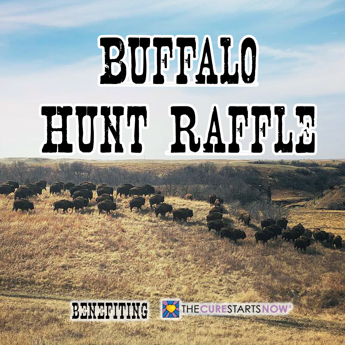 North Dakota Chapter Trophy Bull Buffalo Hunt Raffle